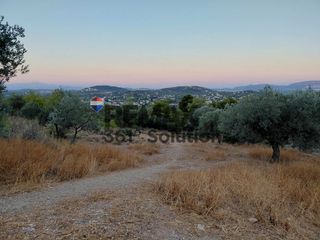Αγροτεμάχια 4.200 τ.μ. για πώληση