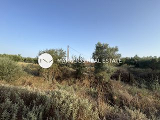 Αγροτεμάχια 22.500 τ.μ. για πώληση