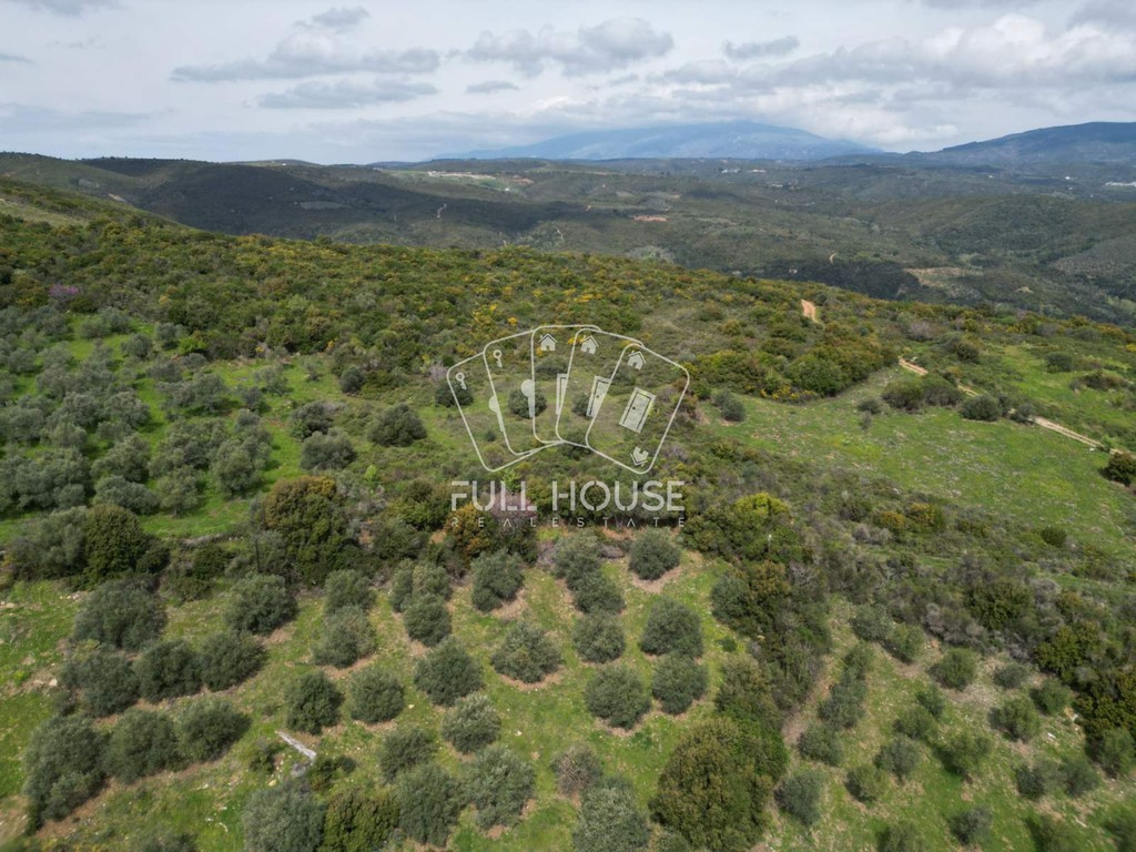 Οικόπεδο 3.400 τ.μ. πρός πώληση, Μαγνησία, Αργαλαστή