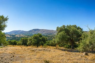 Αγροτεμάχια 5.002 τ.μ. για πώληση