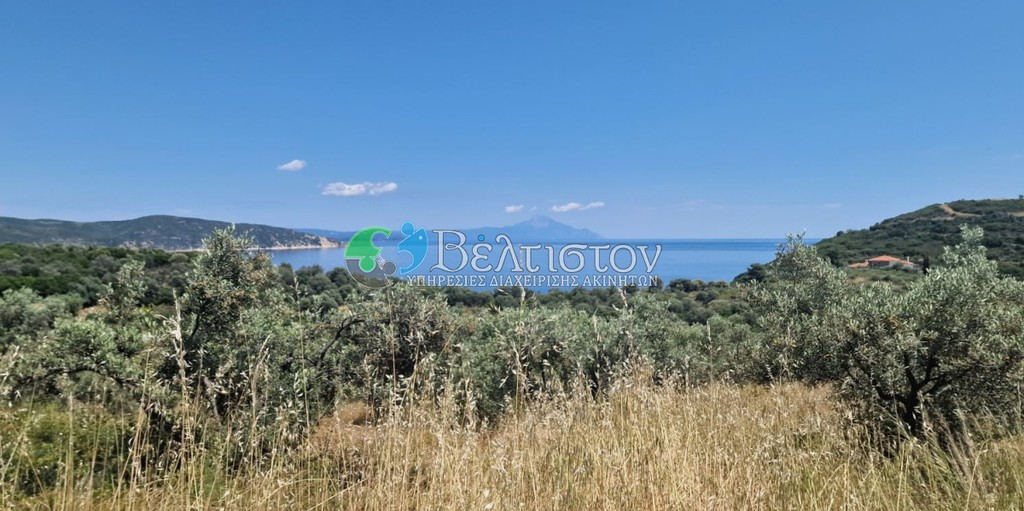 Αγροτεμάχια 6.500 τ.μ. πρός πώληση, Χαλκιδική, Παναγιά