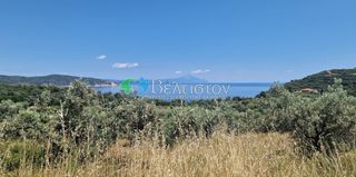 Αγροτεμάχια 6.500 τ.μ. για πώληση