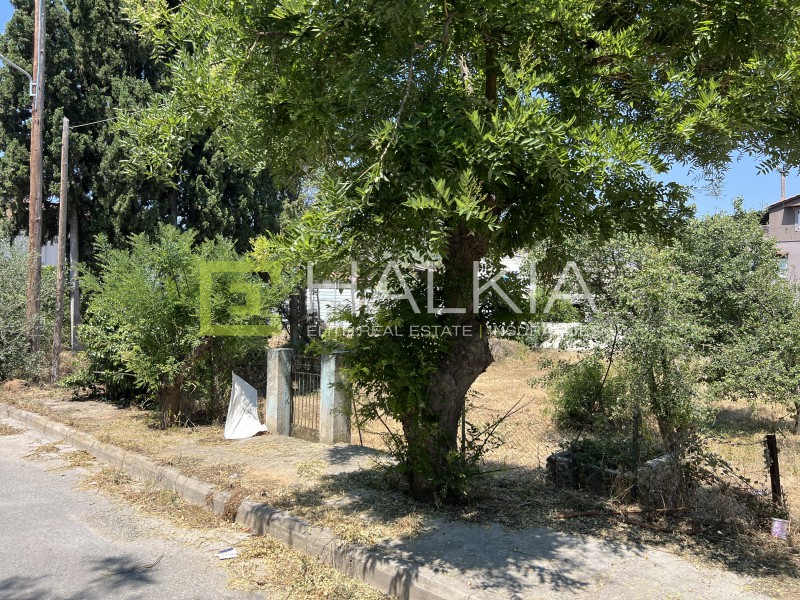 Οικόπεδο 530 τ.μ. πρός πώληση, Μαγνησία, Αγριά