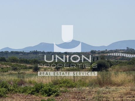 Αγροτεμάχια 6.603 τ.μ. πρός πώληση