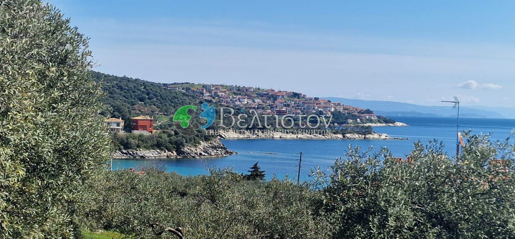 Αγροτεμάχια 5.000 τ.μ. προς πώληση, Χαλκιδική, Σιθωνία