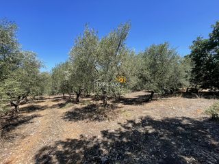 Επιχειρηματικό κτίριο 27.000 τ.μ. για πώληση