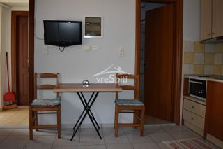 Studio / γκαρσονιέρα 27 τ.μ. για ενοικίαση, Ν. Ιωαννίνων, Ιωάννινα-thumb-11