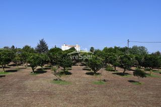 Μονοκατοικία 215 τ.μ. για πώληση, Ν. Πρέβεζας, Πρέβεζα-thumb-30