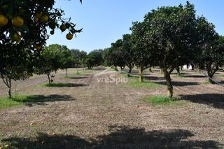 Μονοκατοικία 215 τ.μ. για πώληση, Ν. Πρέβεζας, Πρέβεζα-thumb-36