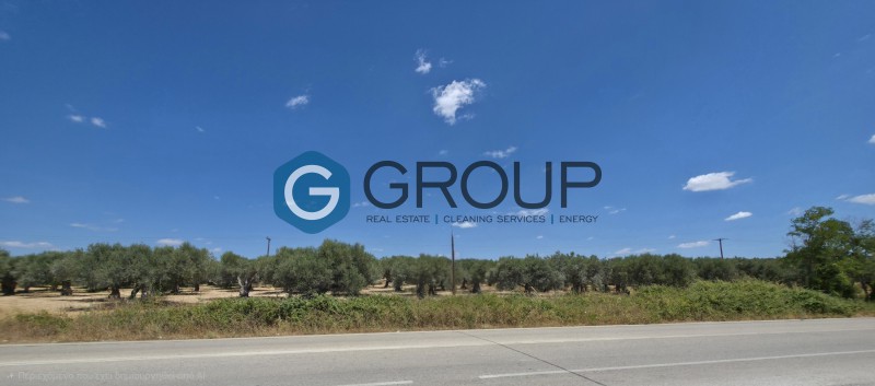 Αγροτεμάχια 12.000 τ.μ. πρός πώληση, Εβρος, Αλεξανδρούπολη