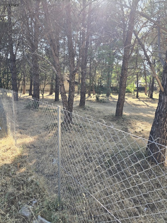 Οικόπεδο 4.500 τ.μ. πρός πώληση, Αθήνα - Βόρεια Προάστια, Άνοιξη