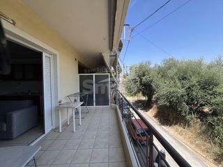 Studio / γκαρσονιέρα 28 τ.μ. προς ενοικίαση, Τέρψη-thumb-15