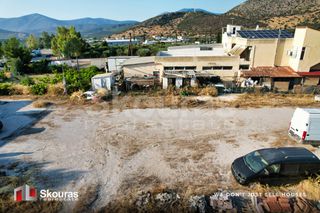 Οικόπεδο 3.000 τ.μ. για ενοικίαση, Αργολίδα, Κρανίδι-thumb-5