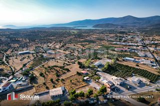 Οικόπεδο 3.000 τ.μ. για ενοικίαση, Αργολίδα, Κρανίδι-thumb-8