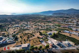 Οικόπεδο 3.000 τ.μ. για ενοικίαση, Αργολίδα, Κρανίδι-thumb-18
