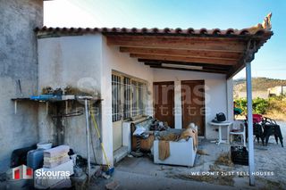 Οικόπεδο 3.000 τ.μ. για ενοικίαση, Αργολίδα, Κρανίδι-thumb-11