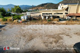 Οικόπεδο 3.000 τ.μ. για ενοικίαση, Αργολίδα, Κρανίδι-thumb-10