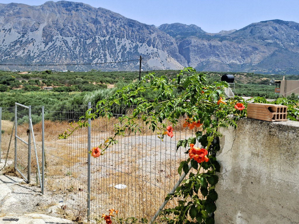 Οικόπεδο 540 τ.μ. πρός πώληση, Ν. Λασιθίου, Ιεράπετρα