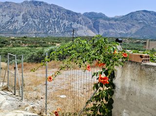 Οικόπεδο 540 τ.μ. για πώληση, Ν. Λασιθίου, Ιεράπετρα-thumb-4