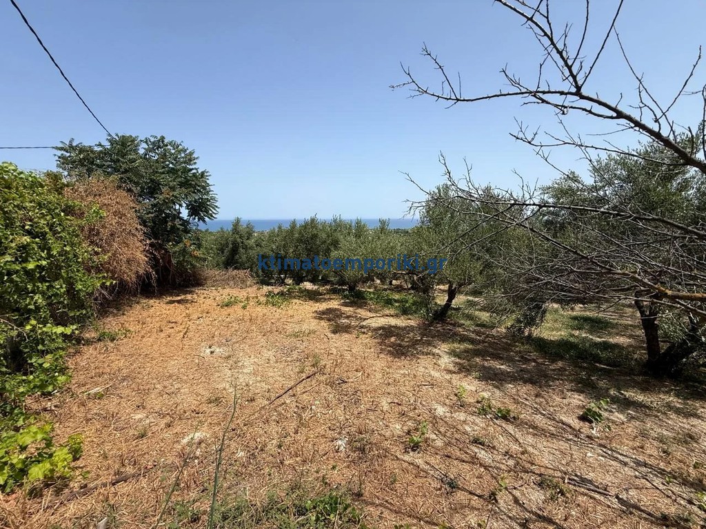 Οικόπεδο 325 τ.μ. προς πώληση, Μόδι Πλατανιά