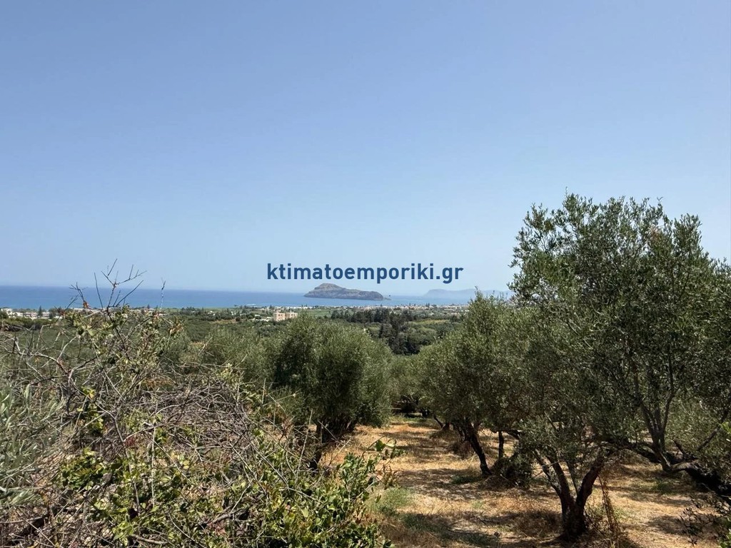 Οικόπεδο 325 τ.μ. προς πώληση, Μόδι Πλατανιά