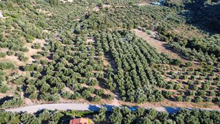 Αγροτεμάχια 14.218 τ.μ. για πώληση, Μεσσηνία, Αυλώνα-thumb-4