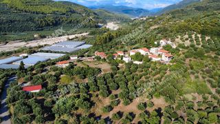 Αγροτεμάχια 14.218 τ.μ. για πώληση, Μεσσηνία, Αυλώνα-thumb-6