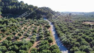Αγροτεμάχια 14.218 τ.μ. για πώληση, Μεσσηνία, Αυλώνα-thumb-1