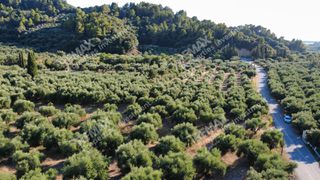 Αγροτεμάχια 14.218 τ.μ. για πώληση, Μεσσηνία, Αυλώνα-thumb-3