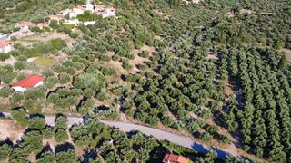 Αγροτεμάχια 14.218 τ.μ. για πώληση, Μεσσηνία, Αυλώνα-thumb-2