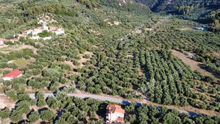 Αγροτεμάχια 14.218 τ.μ. για πώληση, Μεσσηνία, Αυλώνα-thumb-5