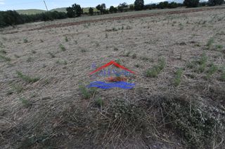 Αγροτεμάχια 1.650 τ.μ. για πώληση