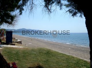 Ξενοδοχείο 1.000 τ.μ. προς πώληση, Πολιχνίτος Λέσβου-thumb-19
