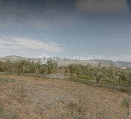 Αγροτεμάχια 7.240 τ.μ. για πώληση