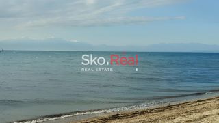 Αγροτεμάχια 9.800 τ.μ. για πώληση