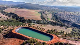 Αγροτεμάχια 170.000 τ.μ. για πώληση, Χαλκιδική, Ορμύλια-thumb-17