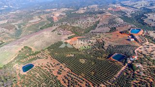 Αγροτεμάχια 170.000 τ.μ. για πώληση, Χαλκιδική, Ορμύλια-thumb-22