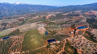 Αγροτεμάχια 170.000 τ.μ. για πώληση, Χαλκιδική, Ορμύλια-thumb-13