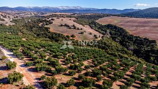 Αγροτεμάχια 170.000 τ.μ. για πώληση, Χαλκιδική, Ορμύλια-thumb-10