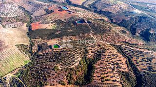 Αγροτεμάχια 170.000 τ.μ. για πώληση, Χαλκιδική, Ορμύλια-thumb-7