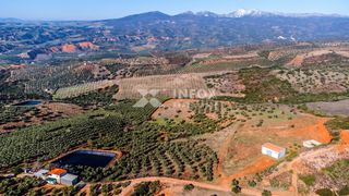 Αγροτεμάχια 170.000 τ.μ. για πώληση, Χαλκιδική, Ορμύλια-thumb-14