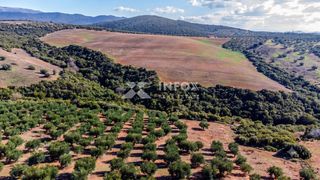 Αγροτεμάχια 170.000 τ.μ. για πώληση, Χαλκιδική, Ορμύλια-thumb-6