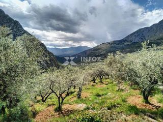 Αγροτεμάχια 170.000 τ.μ. για πώληση, Χαλκιδική, Ορμύλια-thumb-11