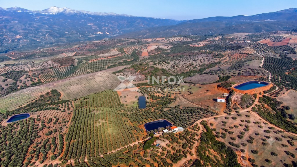 Αγροτεμάχια 170.000 τ.μ. προς πώληση, Μετόχι Ορμύλιας