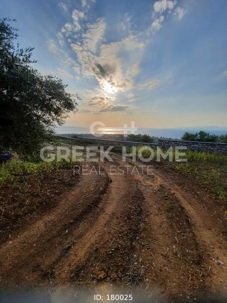 Οικόπεδο 2.400 τ.μ. προς πώληση, Γουμενιτσάνικα