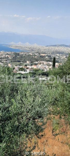 Οικόπεδο 2.400 τ.μ. προς πώληση, Γουμενιτσάνικα