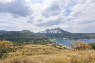 Αγροτεμάχια 4.279 τ.μ. για πώληση