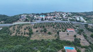 Αγροτεμάχια 9.400 τ.μ. για πώληση, Μεσσηνία, Πεταλίδι-thumb-13