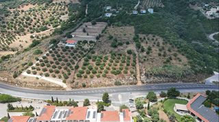 Αγροτεμάχια 9.400 τ.μ. για πώληση, Μεσσηνία, Πεταλίδι-thumb-3