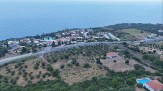 Αγροτεμάχια 9.400 τ.μ. για πώληση, Μεσσηνία, Πεταλίδι-thumb-10